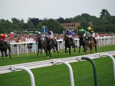 bet on york races|York Races .